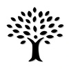 J. Cohen Skincare
