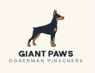 Giant Paws Doberman Pinscher Puppies