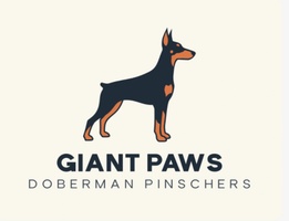 Giant Paws Doberman Pinscher Puppies