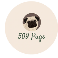 509 Pugs