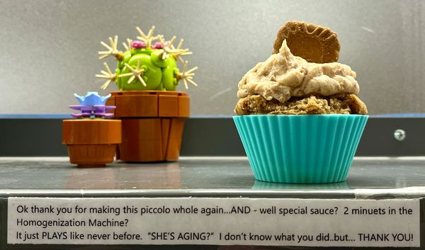 Cupcake with a cookie on top next to LEGO plants, with a humorous note about aging and special sauce.
