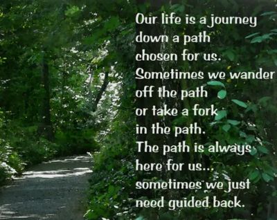 A forest path with an inspirational life journey quote overlay.
