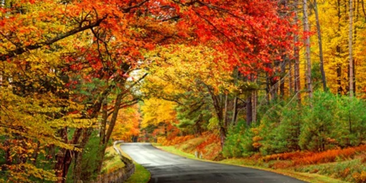 A winding road surrounded by vibrant autumn trees with red, orange, and yellow leaves.