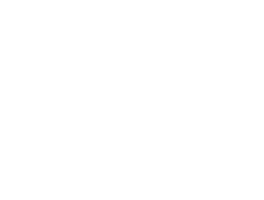 Practicus Software