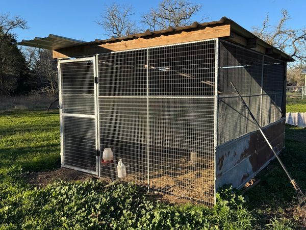 Chicken Pins w/ a walkthrough gate!