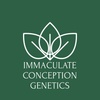 IMMACULATE CONCEPTION GENETICS