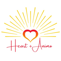 Heart + Animo Coaching