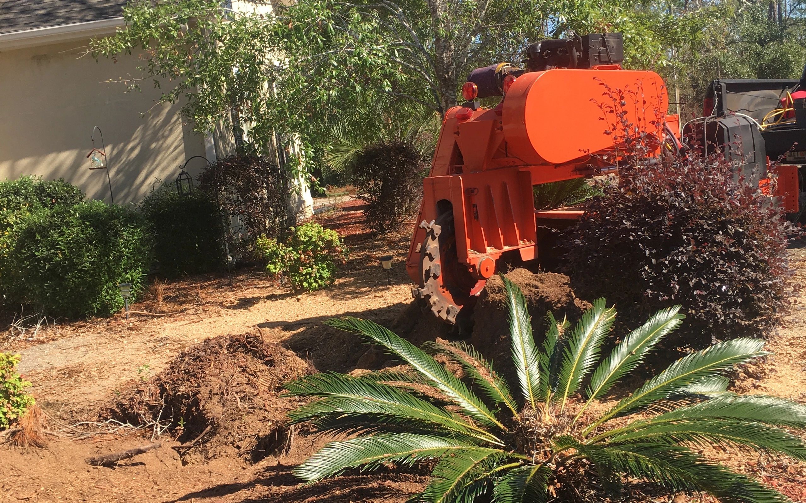 Expert Stump Grinding & Removal | Weeki Wachee | Grinding Co