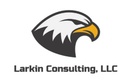 Larkin Consulting, LLC