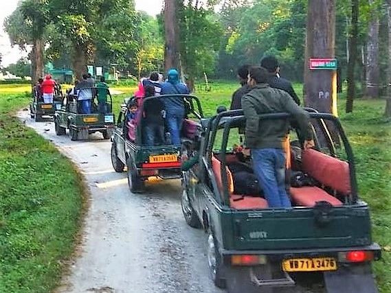 Jungle Safari in Dooars Tour Packages 