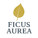 Ficus Aurea