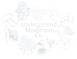 Underground Mushroom Co.