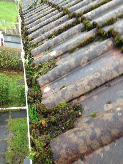 A blocked or clogged gutter is not always visible from the ground, book a yearly gutter clean.