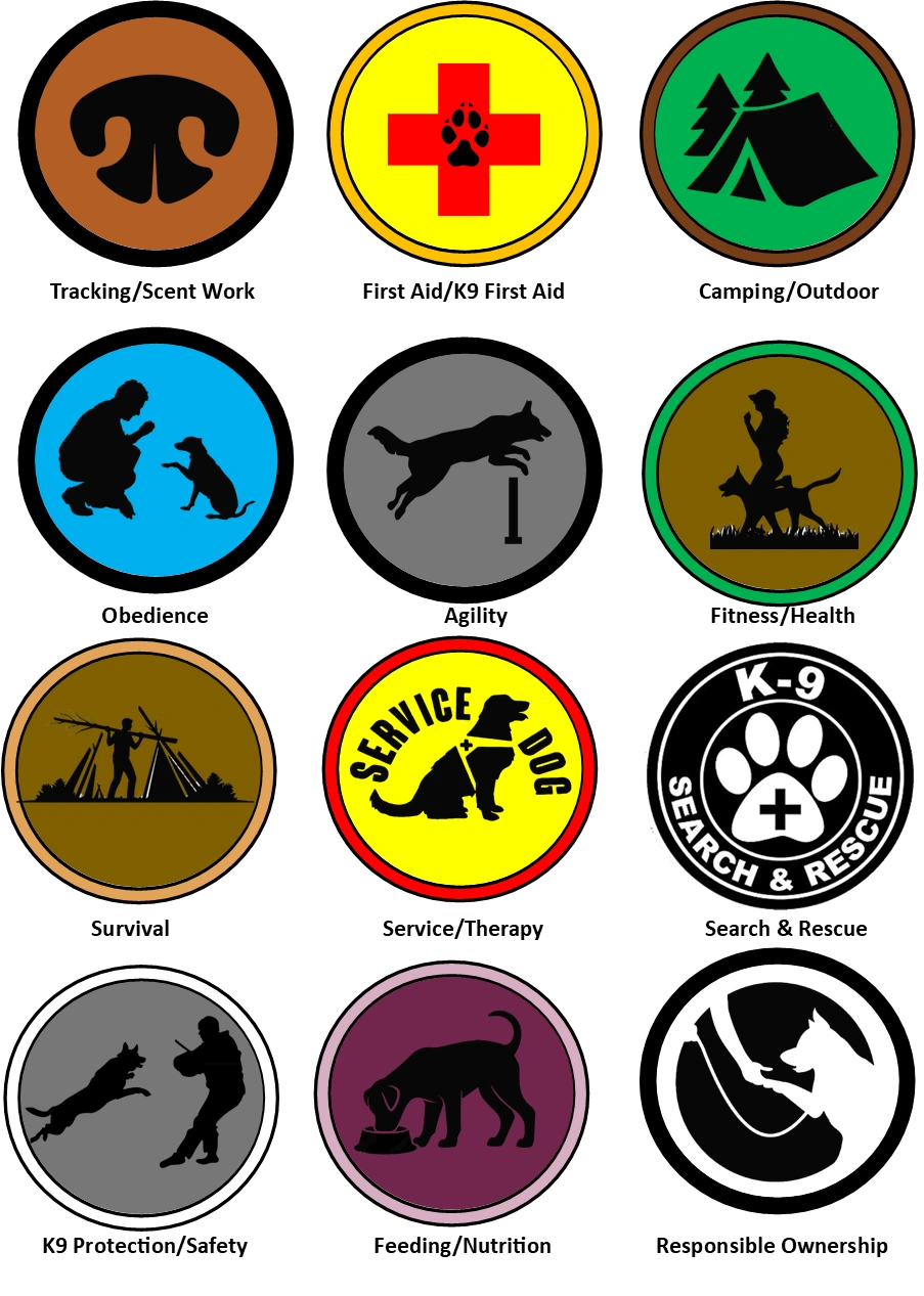 Challenge Coins for Emergency Readiness and Recognition – All About  Challenge Coins, image size:903x1267