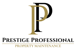 prestige professional