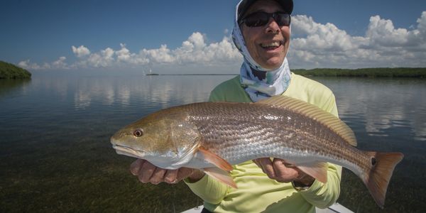 Redfish