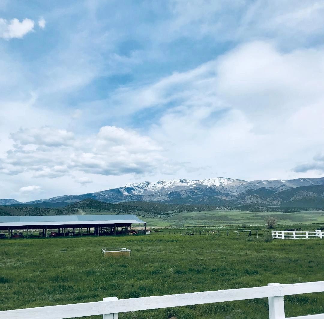 Photos | Able Acre