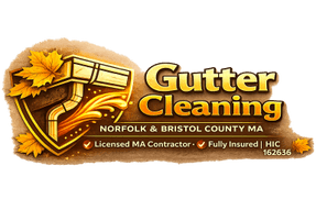 Gutter Cleaning