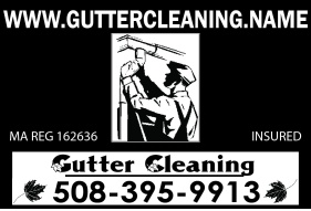 Gutter Cleaning