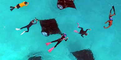 Manta snorkelling while staying at Veli Beach Inn, Mathiveri, Maldives