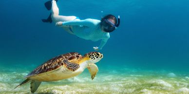 Turtle snorkelling while staying at Veli Beach Inn, Mathiveri, Maldives
