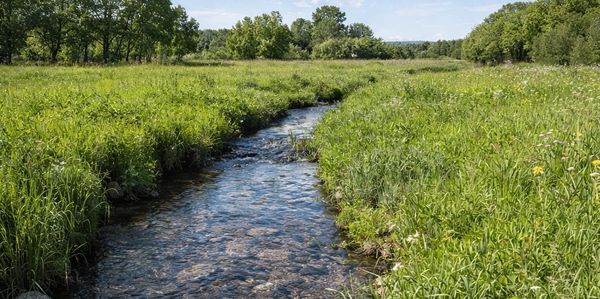 Contact PC Bioremediation for a free site assessment and environmental consultation to eliminate lia