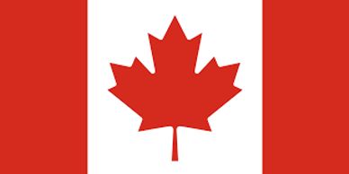 THE SS INTERNATIONAL ||Best Visa consultants,Overseas Education, South Korea, Canada, Australia, France,