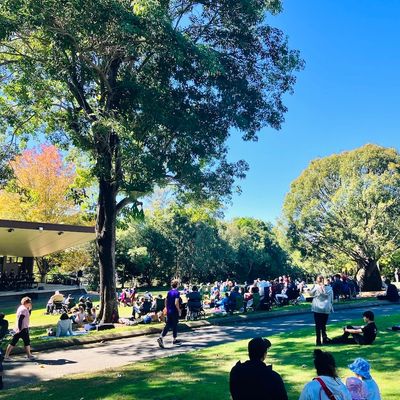 People enjoying a sunny day in a park with large trees and clear blue sky.