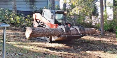 A skid steer lifting a large tree log with its bucket in a yard.