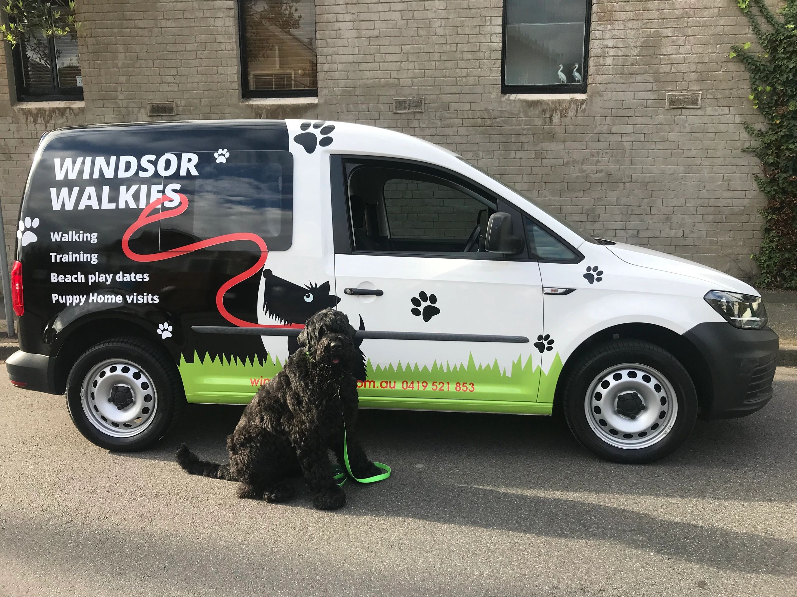 Windsor Walkies Dog Walking, Doggy Day Care, Melbourne