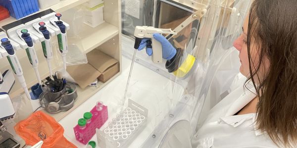 scientist pipetting in an incubator