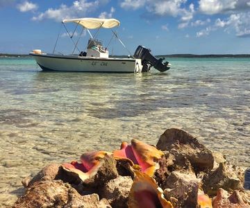 Picture of a water boat