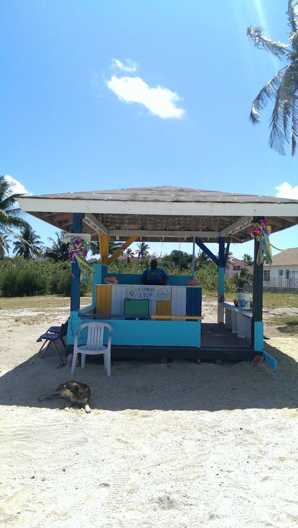 stop in at one of the conch shops