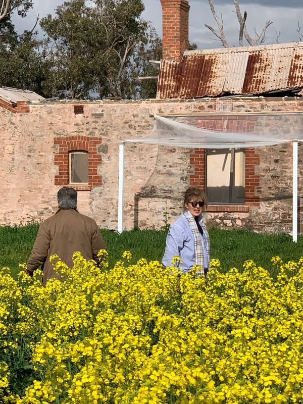 Open Day. Vistors walked around the ruin and canola field.