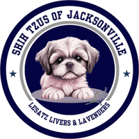 Shih Tzus of Jacksonville