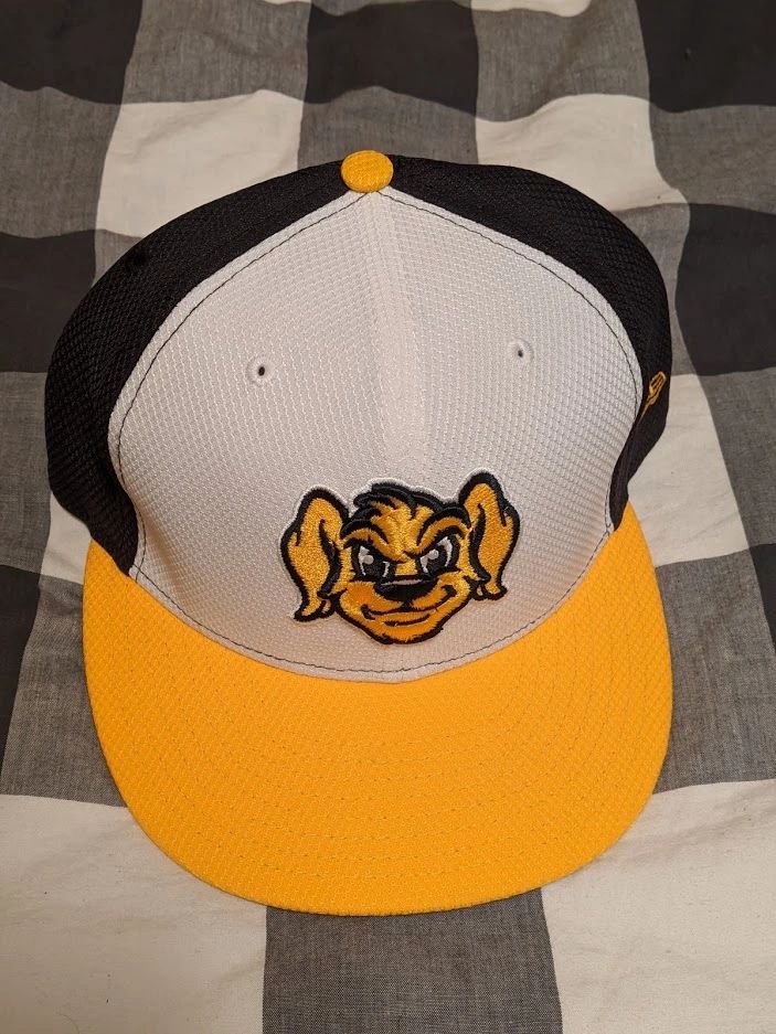 Charleston RiverDogs 2023 BP Cap 7 3/8