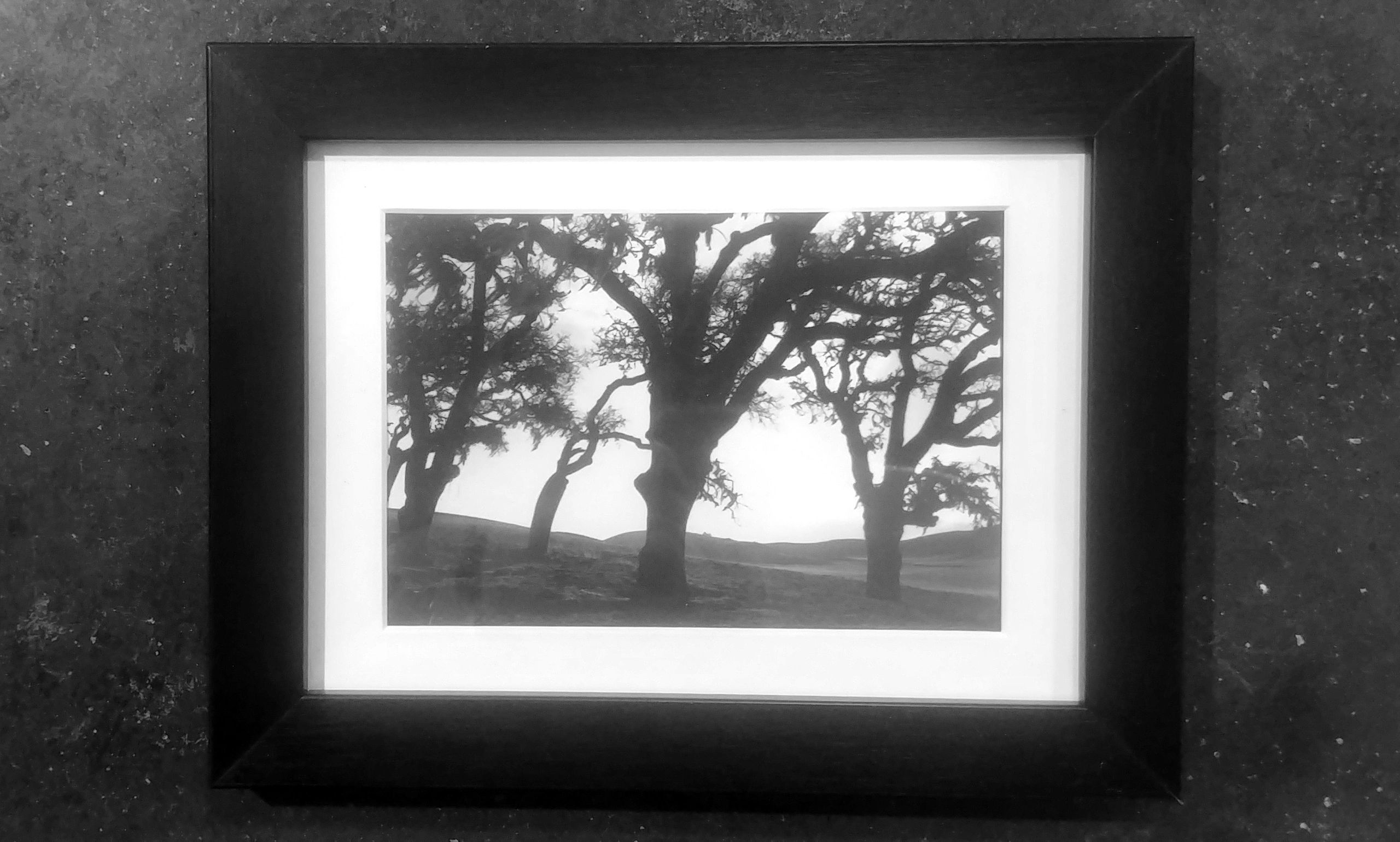 Contact_print_01.jpg