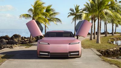 Modern pink car with gull-wing doors parked by palm trees near the ocean.