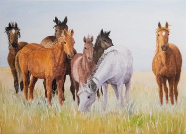 Watercolor image of a group of horses
