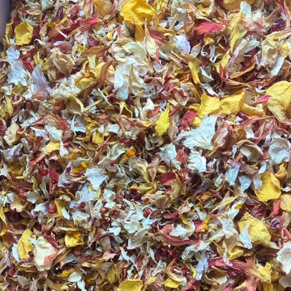 Colorful dried flower petals scattered.
