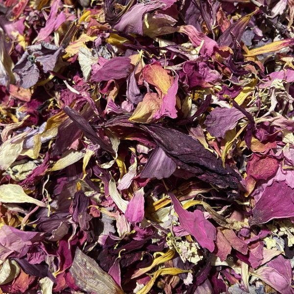 Close-up of dried flower petals in shades of purple and yellow.
