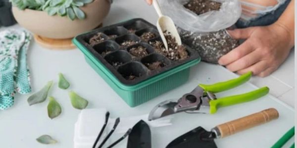 Flower propagation workshops