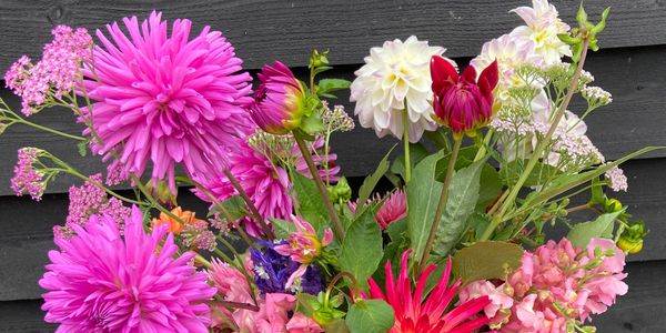 British Seasonal Flowers