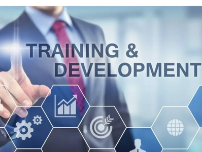 Training and Development services