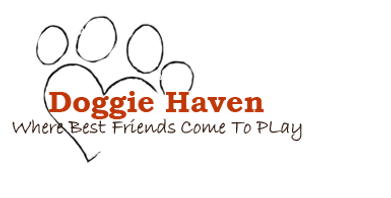 Doggie Haven