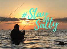 Stay Salty Paradise