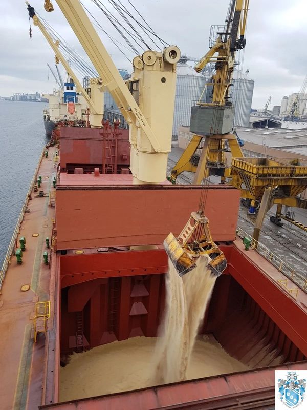 Cargo ship being loaded with bulk grain using a crane at port.