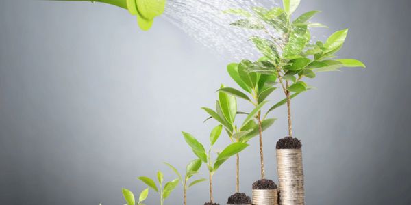 Stacks of coins with dirt on top and plants sprouting out. They are being watered.