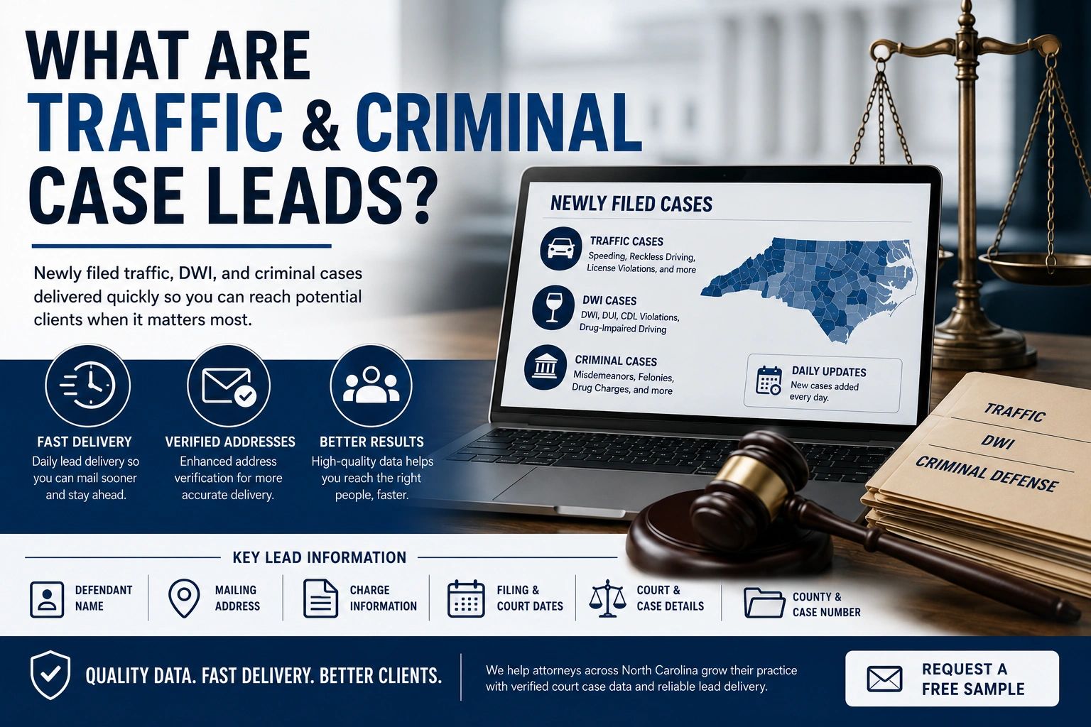 Explanation of what traffic and criminal case leads are