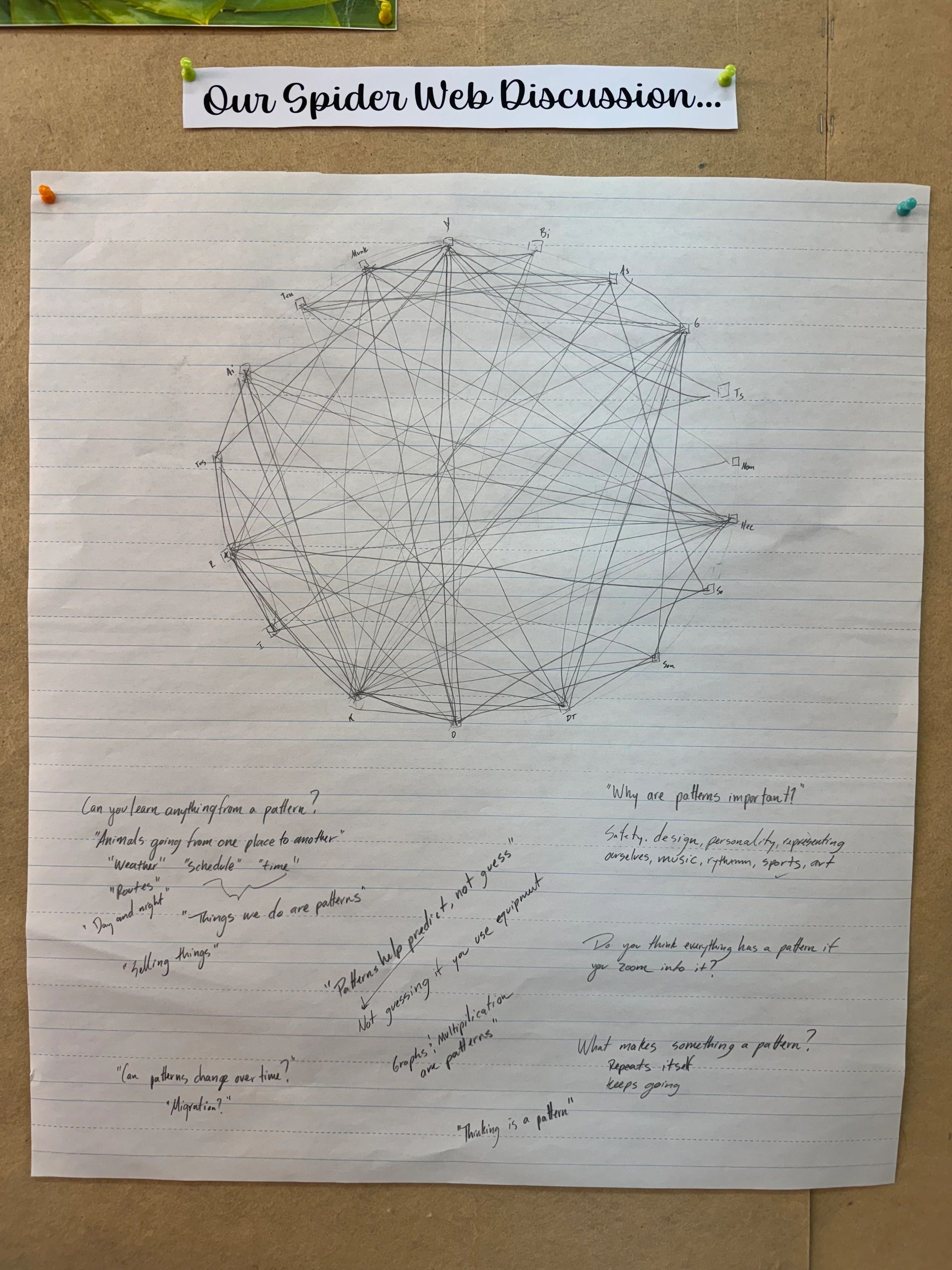 Spider webs, fish, and pre-existing understandings...